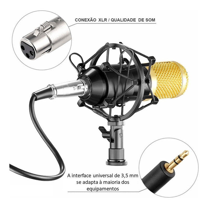 Kit De Microfono Condensador Profesional Estudio Grabación Negro