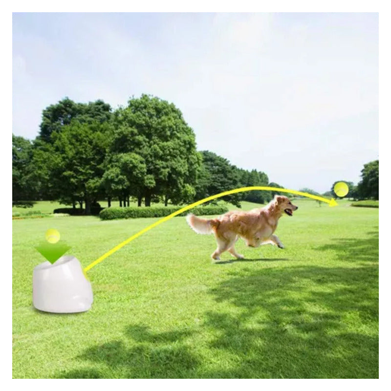 Lanzador Pelotas Tenis Juguete Perros Máquina Lanzamiento