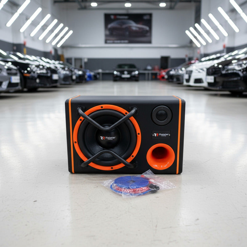 Subwoofer 10 Pulgadas 2000w Amplificado De Acústica Auto Negro