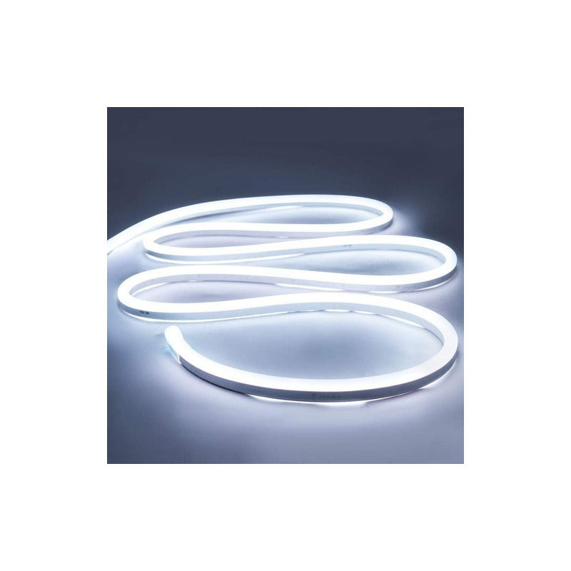Cinta Led Neon Luz 5 Metros Flexibletransformador 12v