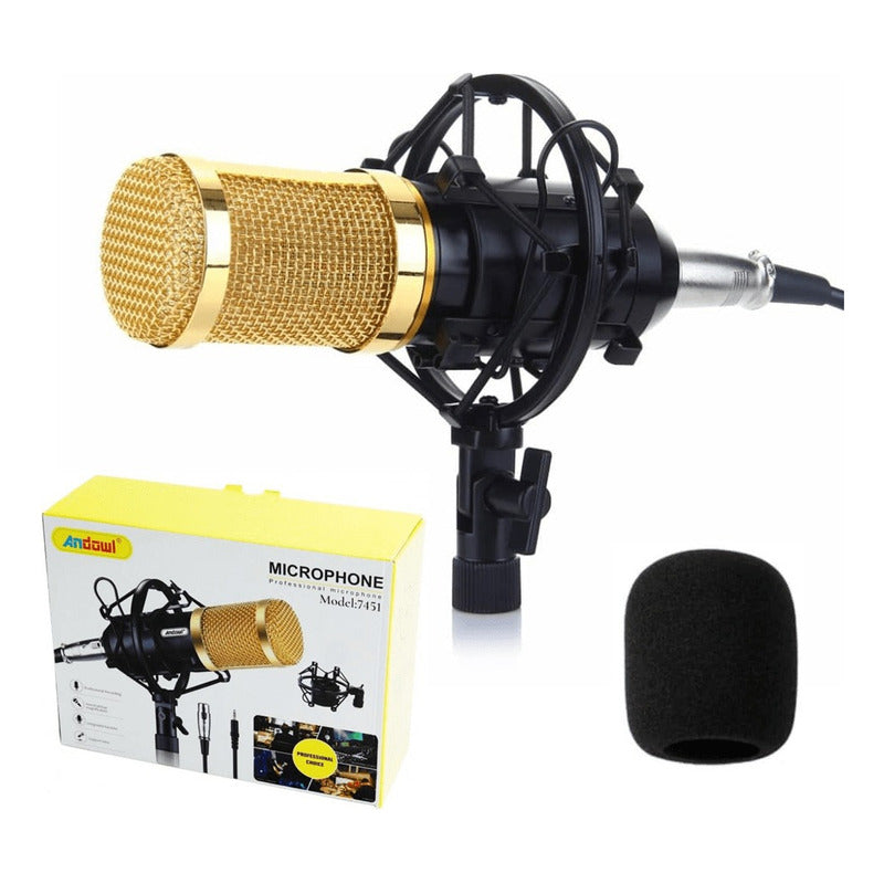 Kit De Microfono Condensador Profesional Estudio Grabación Negro