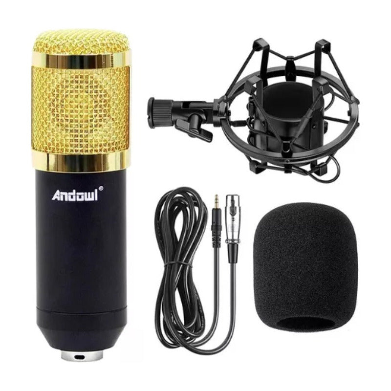 Kit De Microfono Condensador Profesional Estudio Grabación Negro