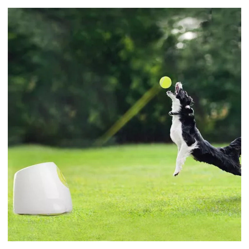 Lanzador Pelotas Tenis Juguete Perros Máquina Lanzamiento