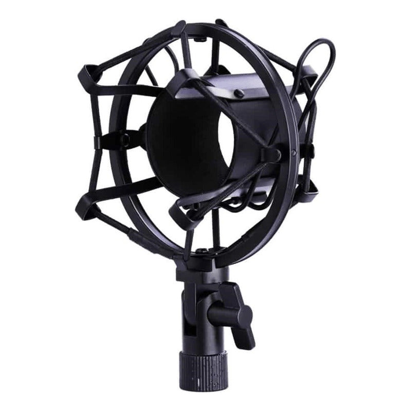 Kit De Microfono Condensador Profesional Estudio Grabación Negro