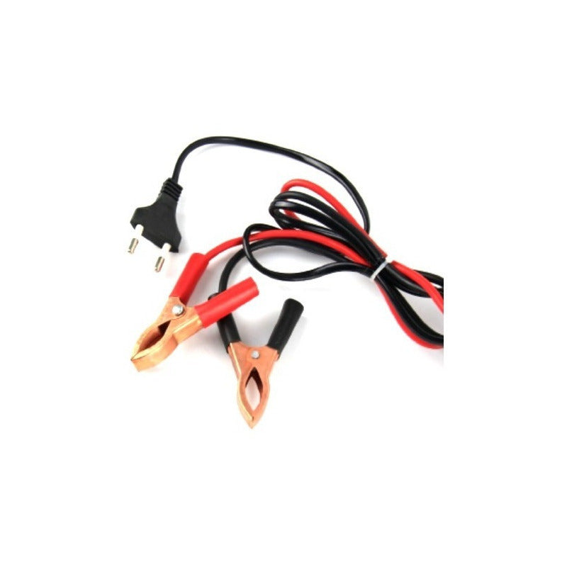 Cargador De Batería Para Automóvil 12 Volts 20 Amperes