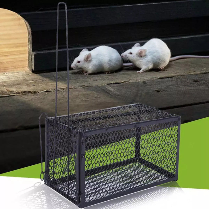 2x Jaula Metálica Trampa Ratones Roedor Captura Atrapa