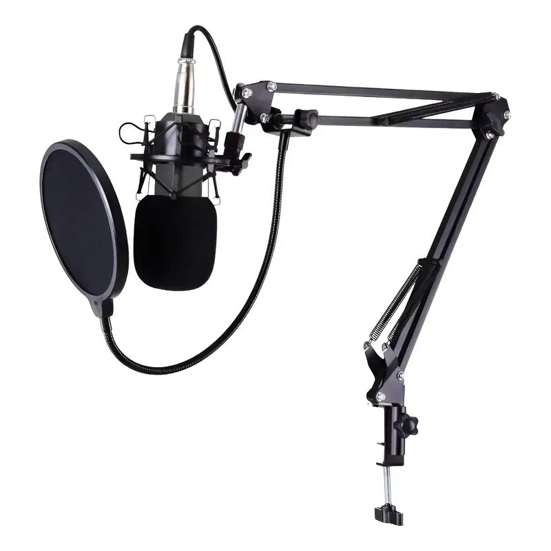 Microfono Condensador Para Estudio De Grabación Profesional Negro
