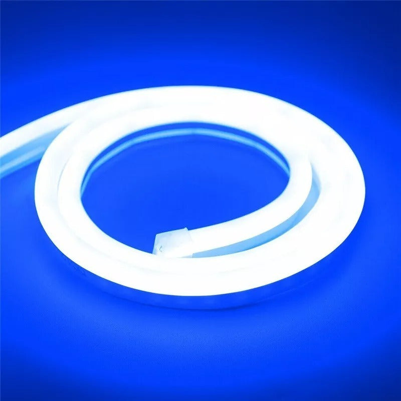 Cinta Led Neon Luz 5 Metros Flexibletransformador 12v