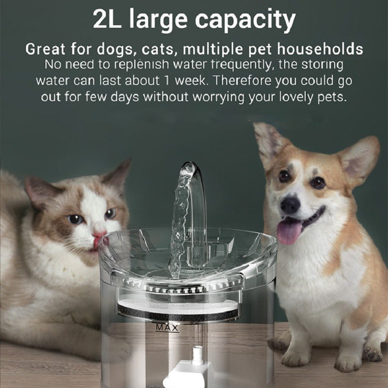 Bebedero De Agua Automatico Gatos Perros Dispensador Transparente