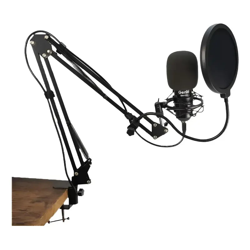 Microfono Condensador Para Estudio De Grabación Profesional Negro