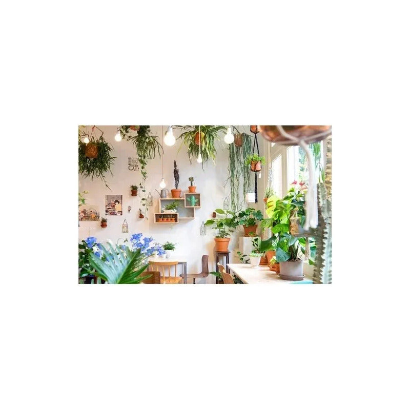 X5 Ampolleta Led 15w Ecologica Ahorro Hogar E27 Luz Fria Luz Blanco Frío - 003003 B72