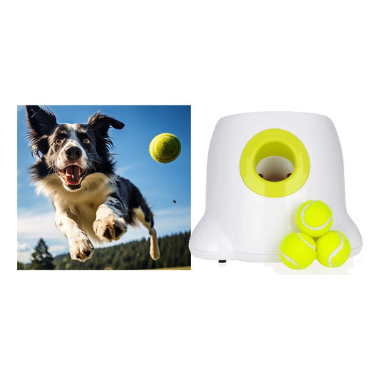Lanzador Pelotas Tenis Juguete Perros Máquina Lanzamiento