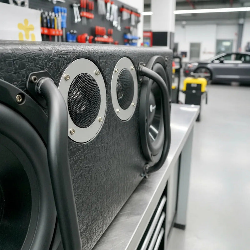Subwoofer Doble Amplificado 2000w 10pul + Cable De Instalac Negro