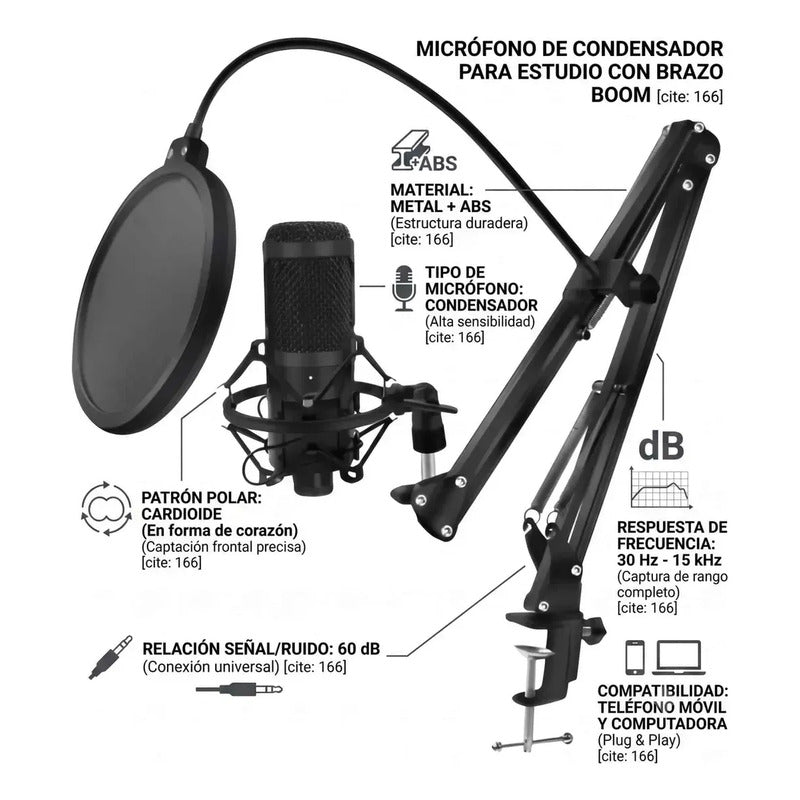 Microfono Condensador Para Estudio De Grabación Profesional Negro